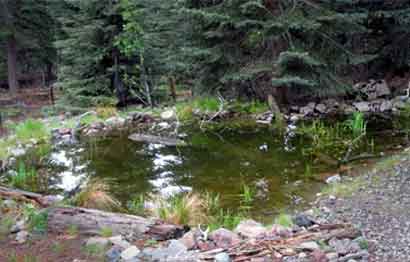 McCloud Pond